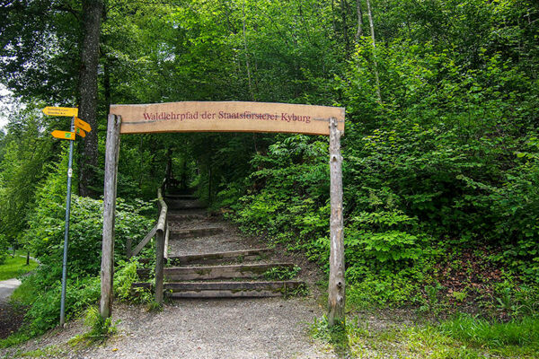 De la ville au château à travers la forêt