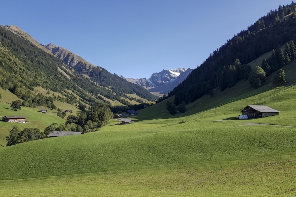 Gipfelerlebnis im Diemtigtal