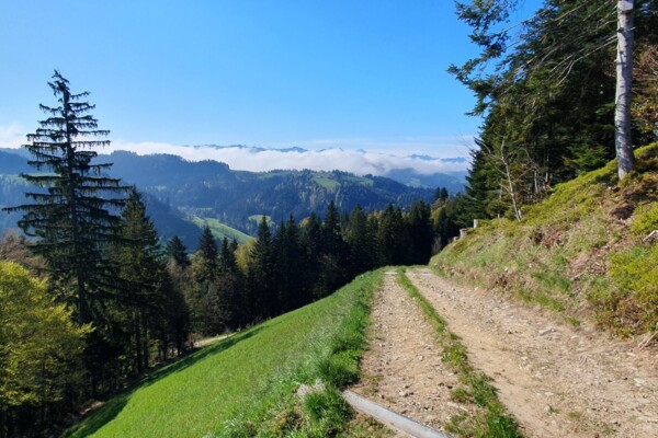 Randonnée au Napf 1406m dans le tour du Fankhausgraben