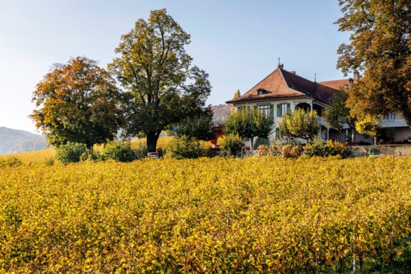 Von Schloss zu Schloss im Rebberg von La Côte