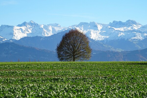 Zu den Schotterebenen im Luzerner Seeland