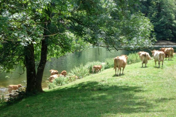Erfrischende Wanderung entlang des Doubs