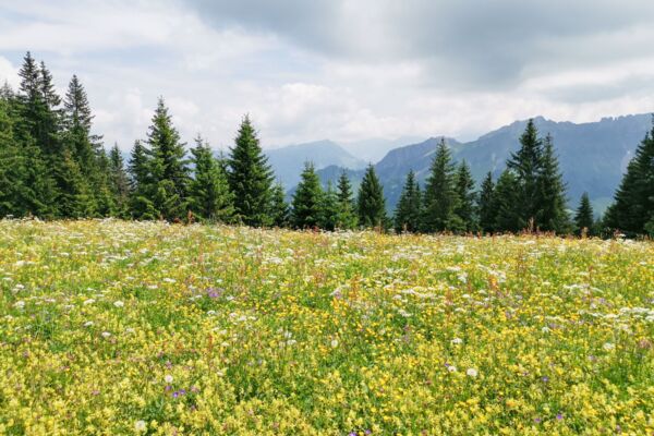 Picco d’entusiasmo nell’Entlebuch