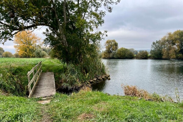 Wandern und beobachten in La Sauge