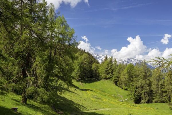 S08: Bisse de Saxon
