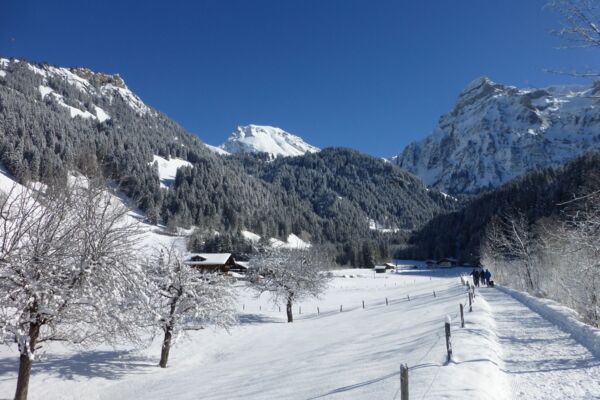 Ohne Steigung zu den Simmenfällen