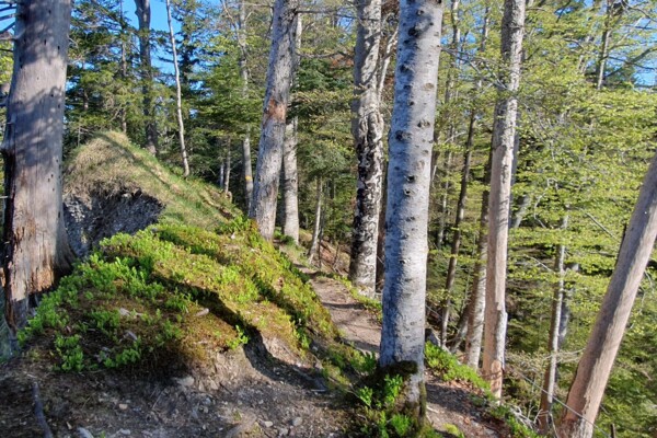 Randonnée au Napf 1406m dans le tour du Fankhausgraben