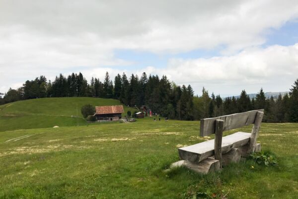 Vom Ägerisee hinauf zu den Hochmooren