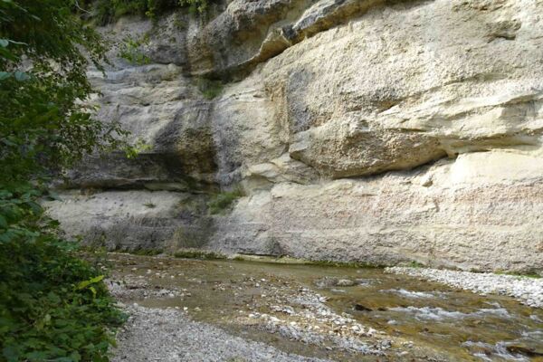 Steinreich aus der Fontanne