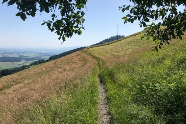 Randonnée familiale dans un paysage de drumlins