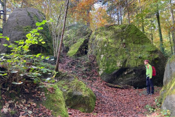 Inspirierende Weite am Genfersee