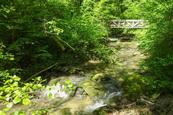 Ursprüngliche und kultivierte Natur