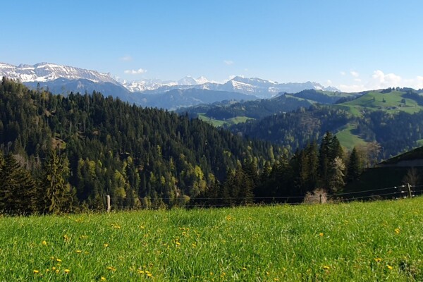 Randonnée au Napf 1406m dans le tour du Fankhausgraben