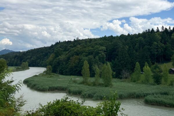 In der stadtnahen Natur an der Aare