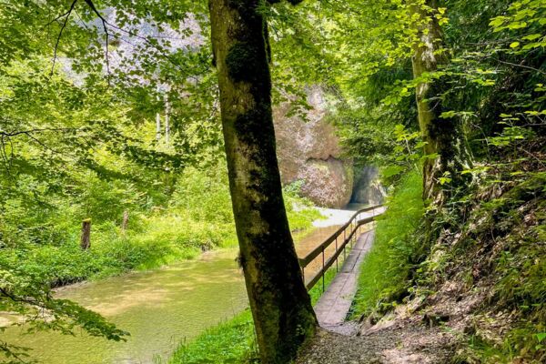 Familienwanderung durch die lauschige Wissbachschlucht
