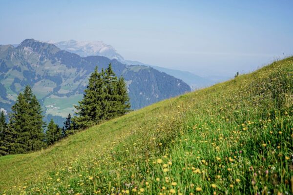 Seilbahnen, Bergwiesen und Flechtenwälder