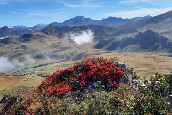 Bergseenwanderung auf dem Fideriser Heuberg