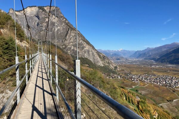 Des vignes et un pont suspendu
