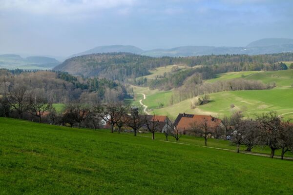Gemütliche Wanderung durch den Regionalpark Aargau
