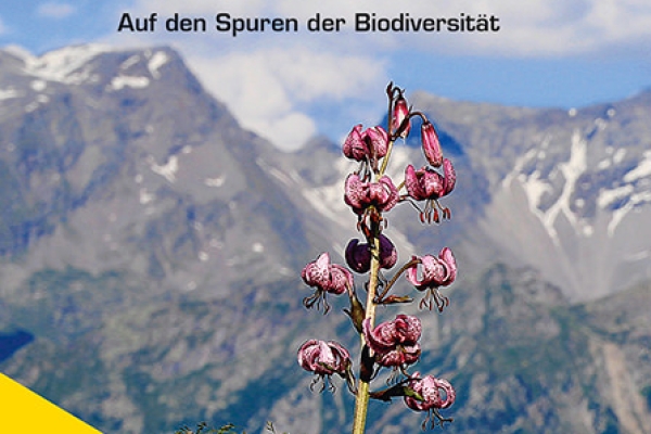 Naturwanderungen im Tessin