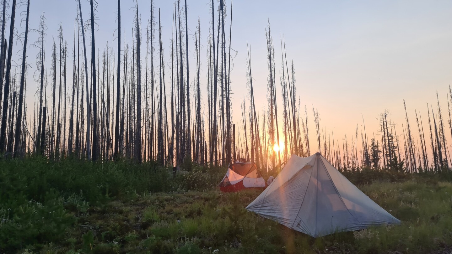Campspot im abgebrannten Wald