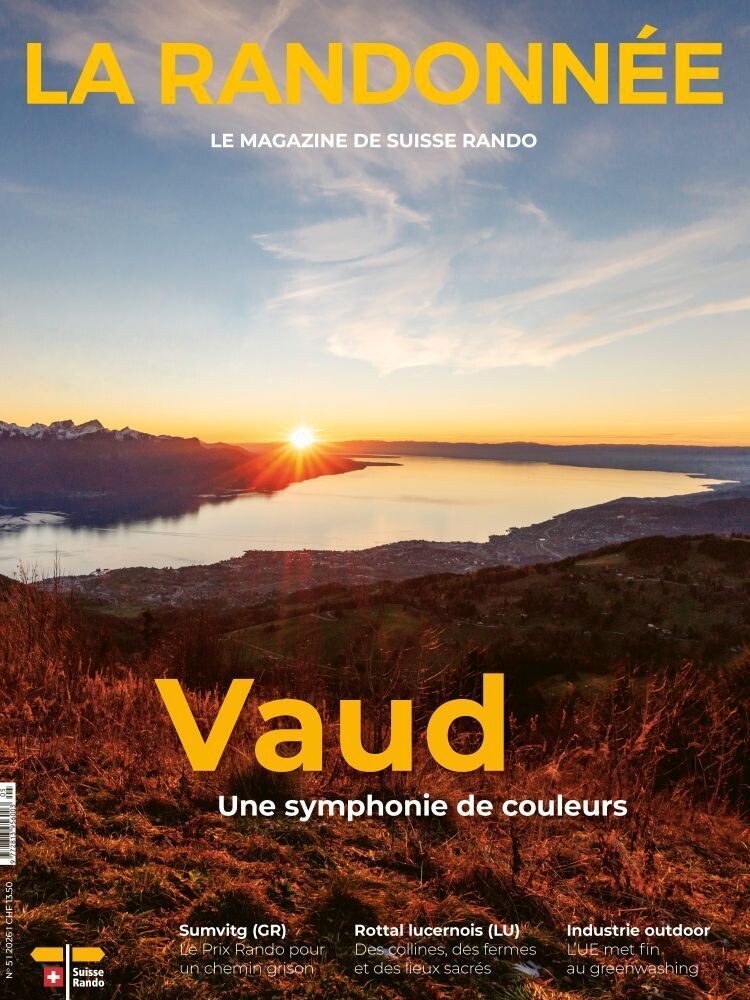 Cover_d