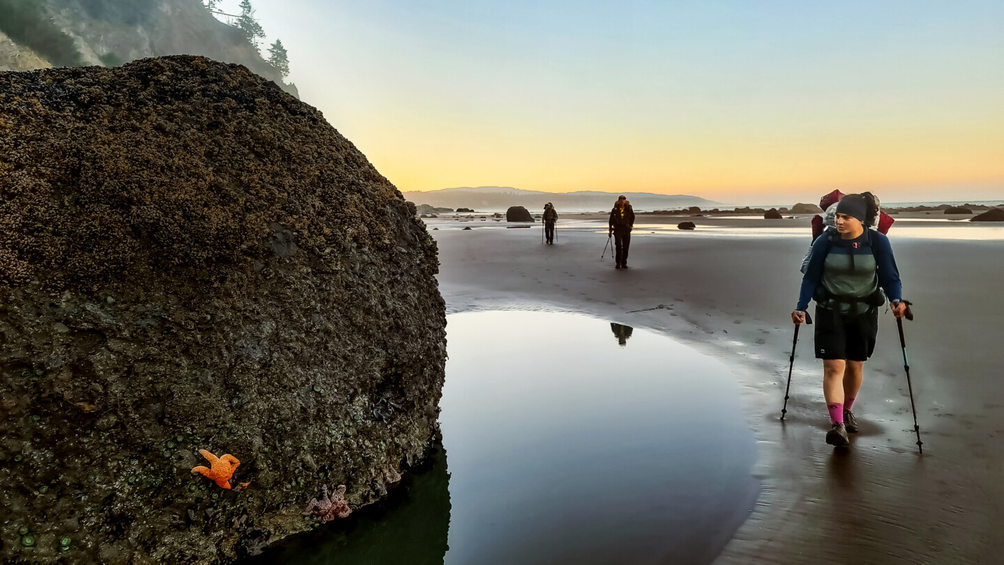 Seestern Wilderness Coast