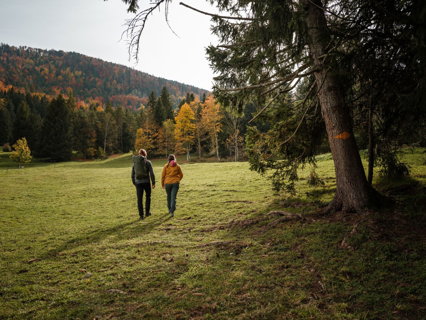 SWW_Herbst_25_0411