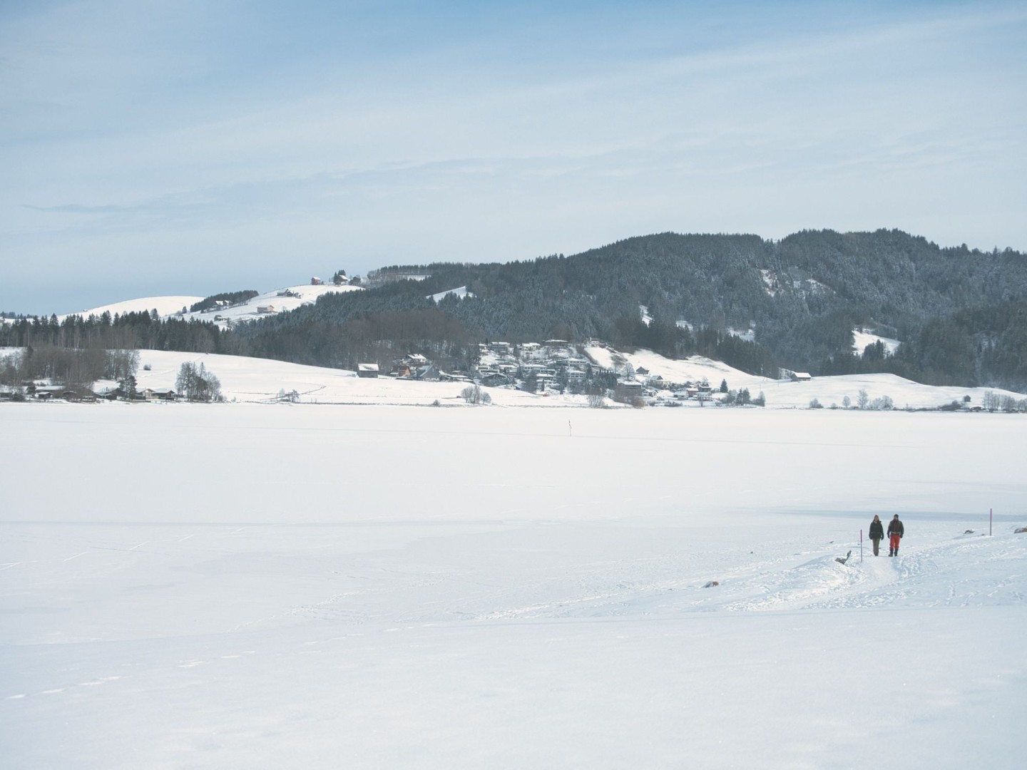 SWW_Winter_2021_2151187