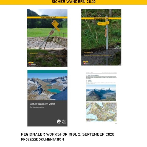 Sicher Wandern 2040 Documentazione di processo Workshop Rigi