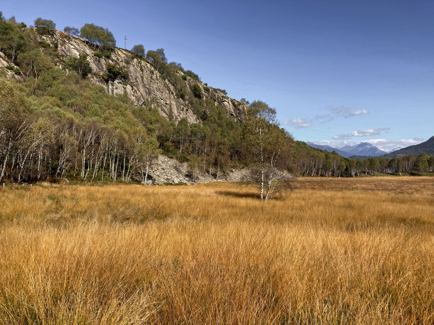 Paysage marécageux entre les roches moutonnées de Gola di Lago