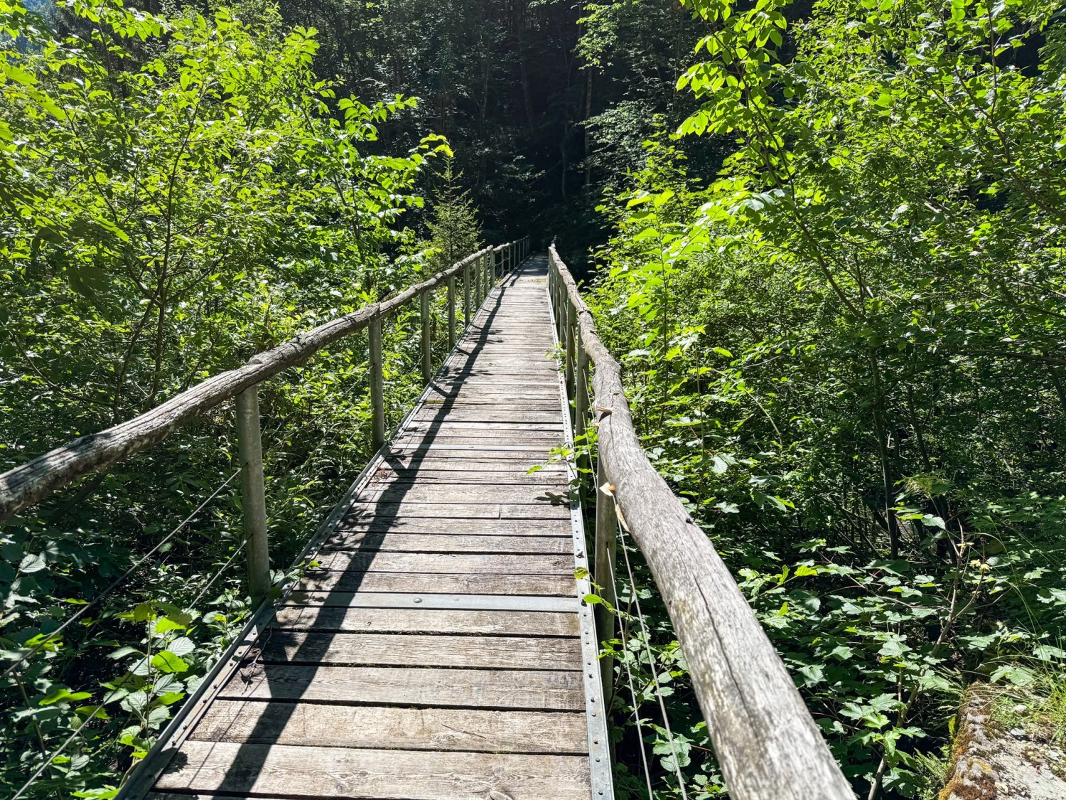Ponte in legno sopra la Rovana di Campo.