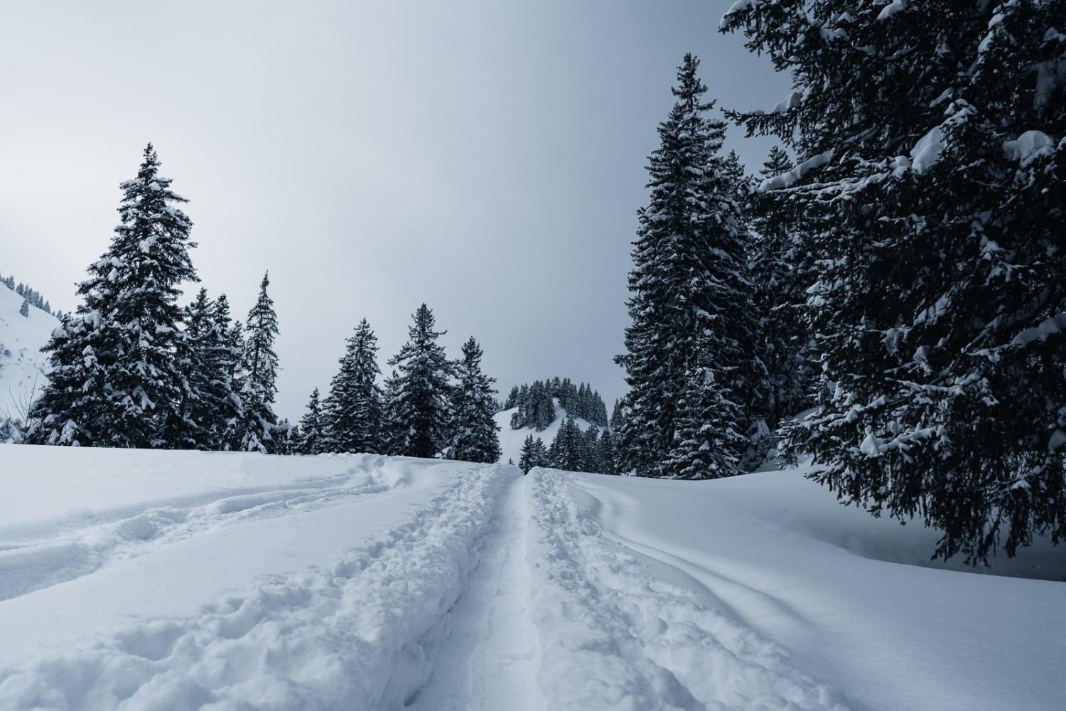 Winterlicher Schneeschuhpfad neben Slalomspuren der Skitourenfahrer. Bild: Jon Guler