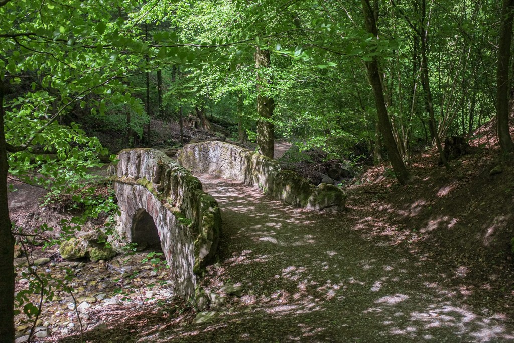Il sentiero lungo l'Elefantenbach conduce attraverso piccoli ponti. Foto: Claudia Peter