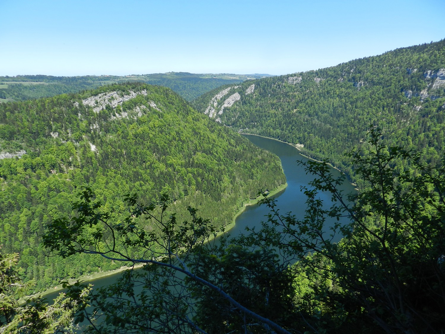 Vom Sentier Pillichody aus gibt der Wald immer wieder Ausblicke auf den Doubs frei. Bild: P. Michaud