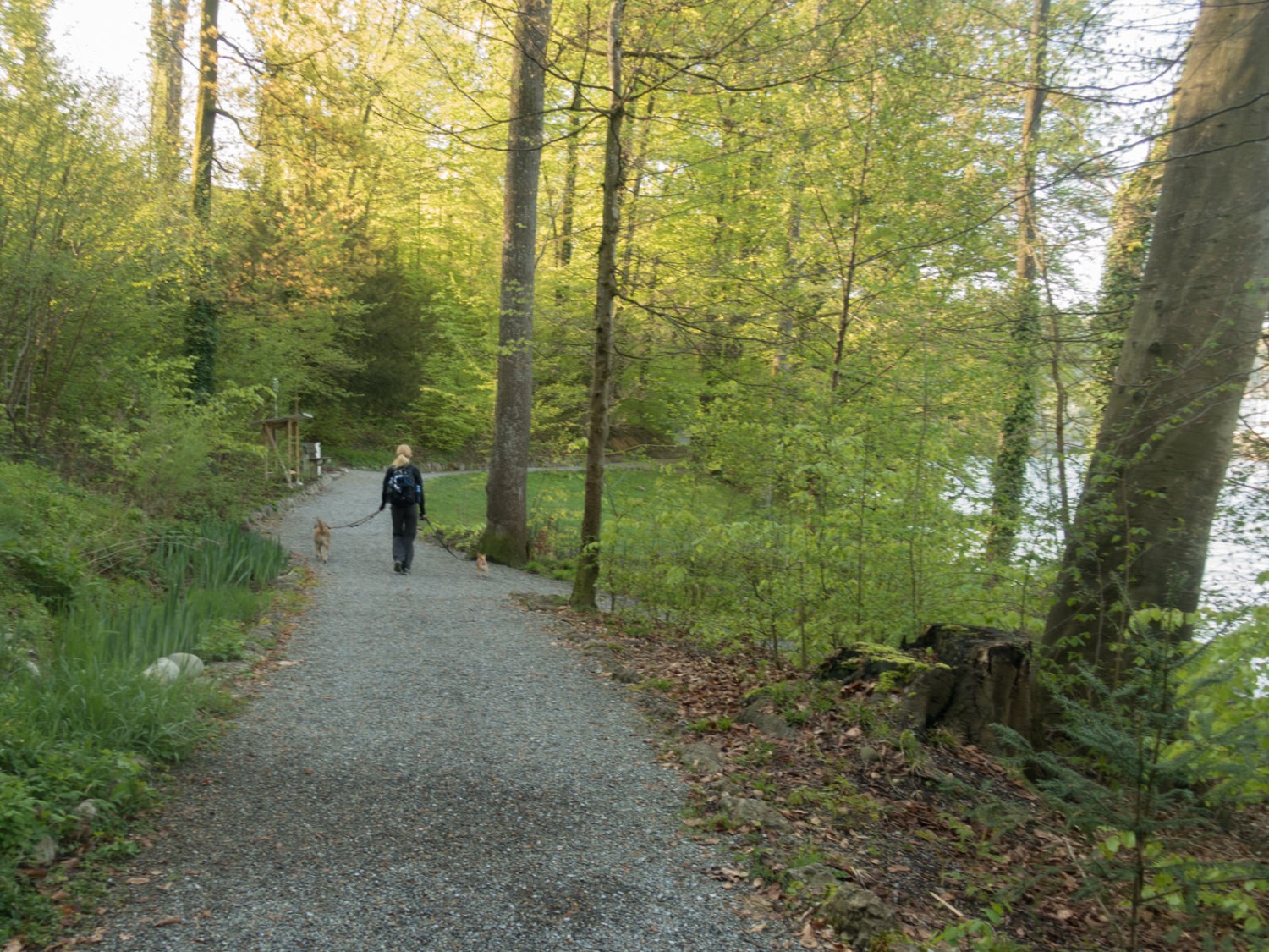 Überall kommt man auf dieser Wanderung mit Wasser in Berührung. Bild: Randy Schmieder