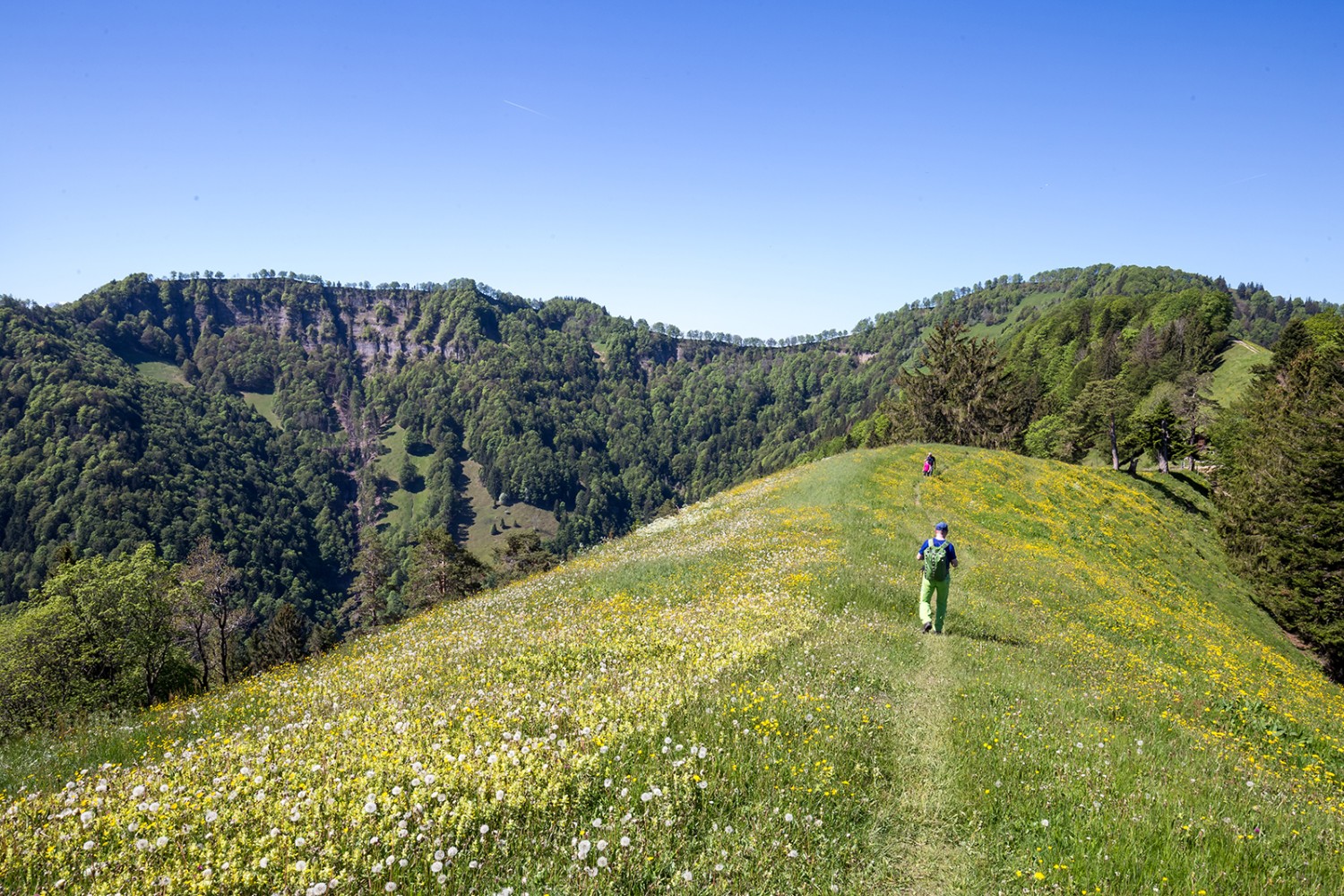 Aussichtsreich ist diese Wanderung, wie hier auf dem Laubberg Richtung Schnebelhorn. Bilder: Daniel Fleuti