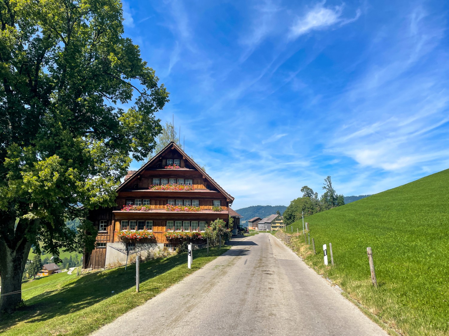 Prächtige Bauernhäuser, üppige Obstbäume und ruhige Landstrassen: Idylle im Appenzellerland. Bild: Claudia Peter
