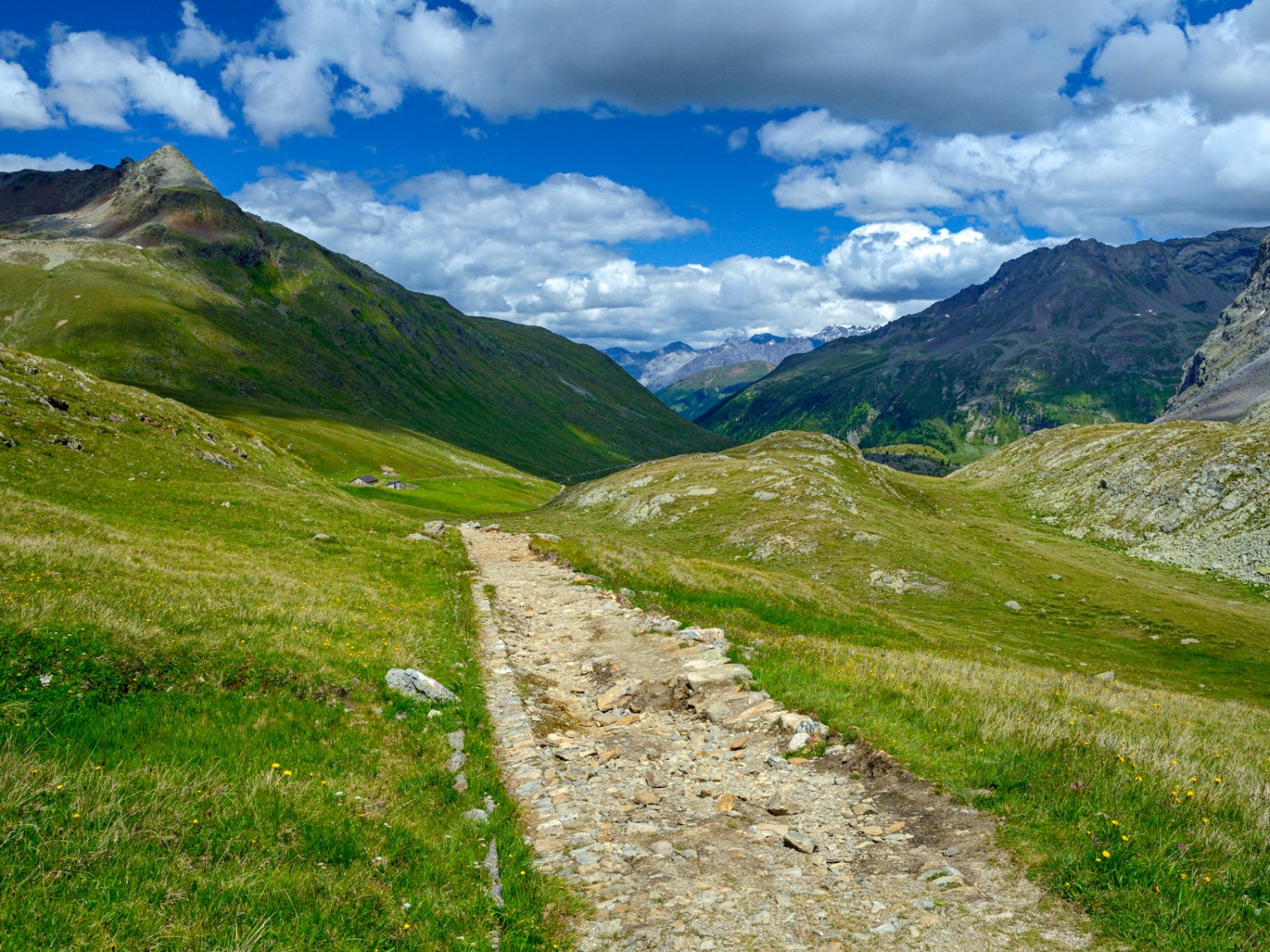 L’antica mulattiera verso il passo di Val Viola. Foto: natur-welten.ch