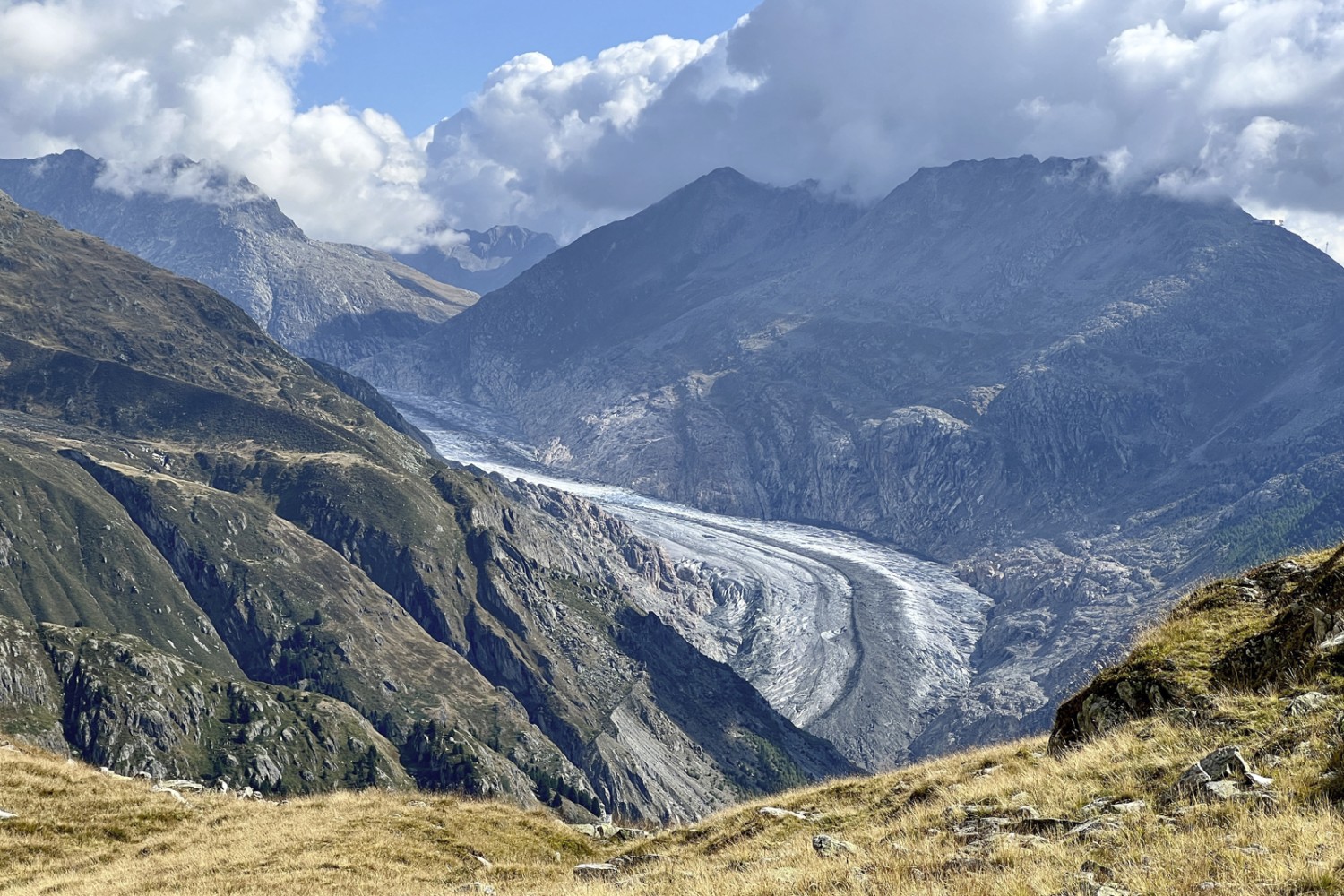 Sicht auf den Aletschgletscher. Bild: Pascal Bourquin
