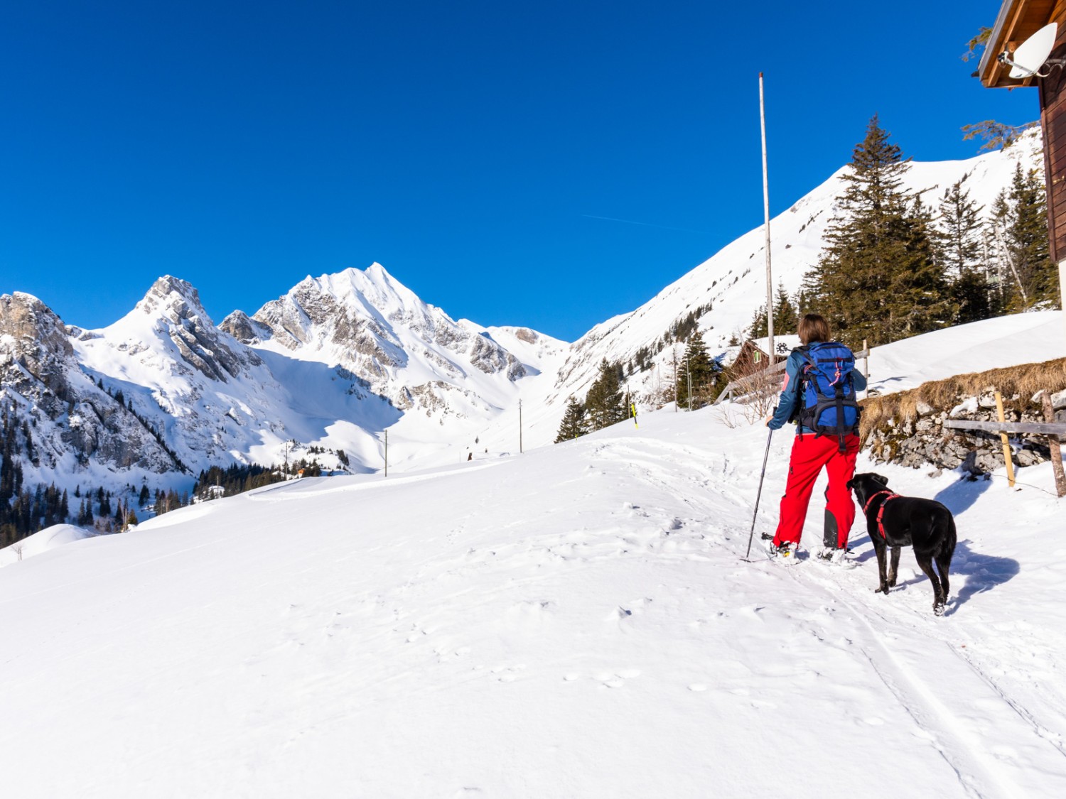 Bald ist es geschafft: von hier hört man schon den munteren Betrieb des kleinen Skigebiets. Bild: Franz Ulrich