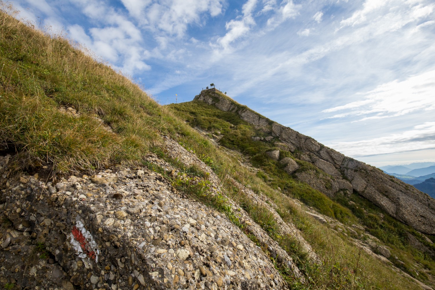 Vom Aufstieg auf den Speer aus sieht man im Vordergrund deutlich die Nagelfluh, aus der der Berg besteht. Bild: Daniel Fleuti