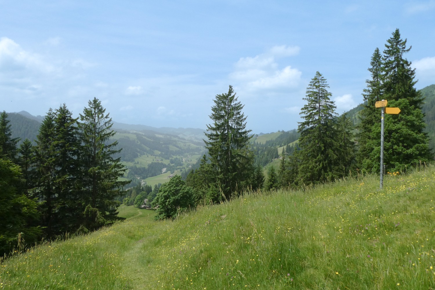 Scendendo verso il Bödeli, con lo sguardo rivolto a valle in direzione di Thun. Foto: Tatjana Häuselmann