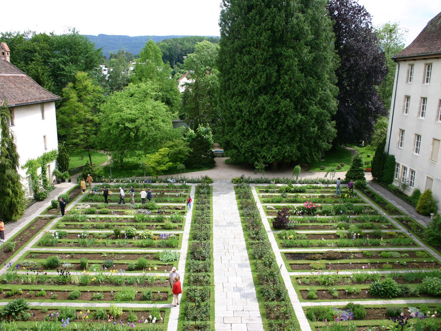 Die Rosenstöcke und die Pflanzensystematik in den Beeten begeistern. Bild: Jura Tourisme