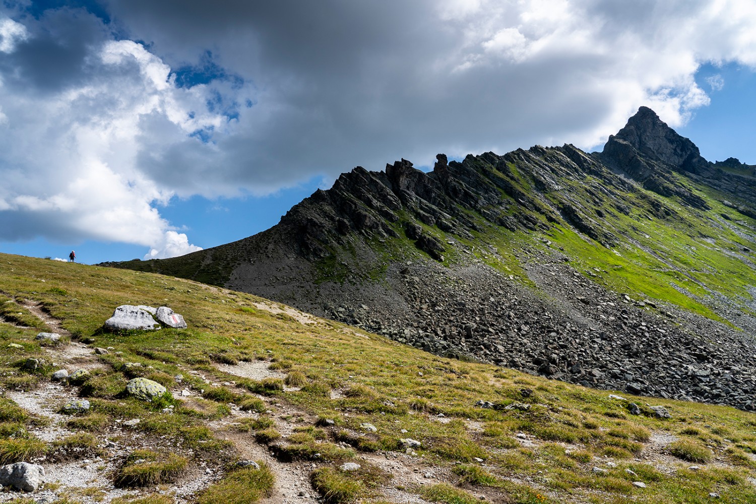 Beim Plasseggenpass mit dem Bergkamm beim Sarotlapass. Bilder: Severin Nowacki
