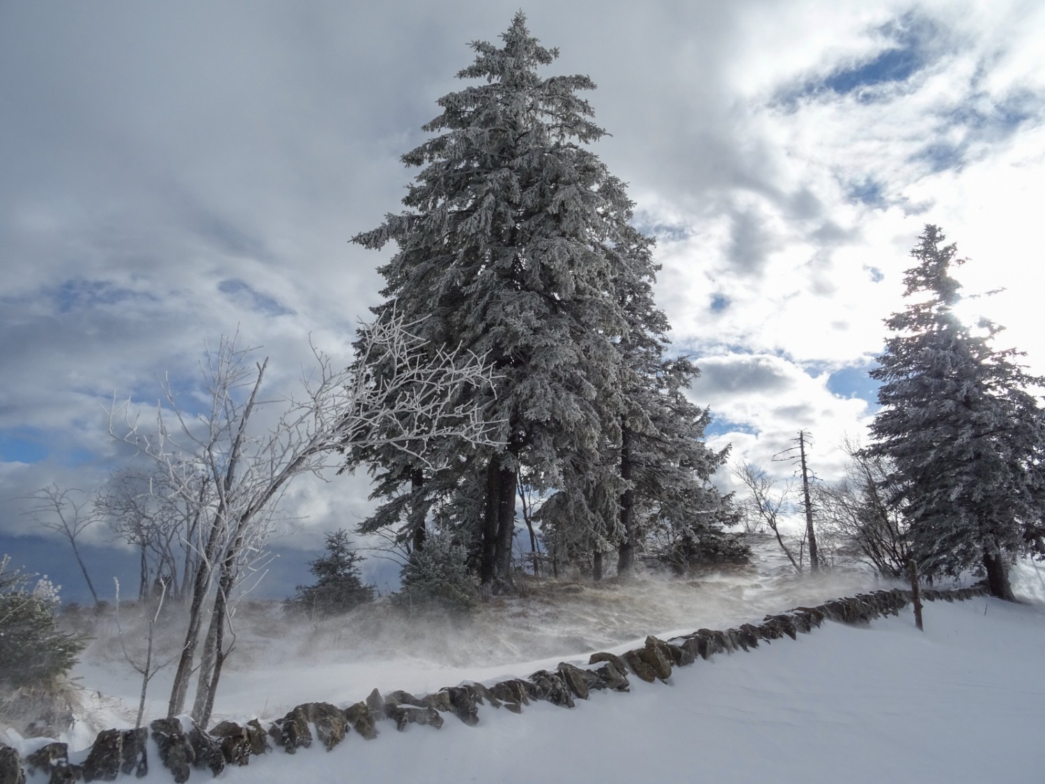 Starker Wind bläst den Schnee über eine Trockenmauer. Bild: Sabine Joss
