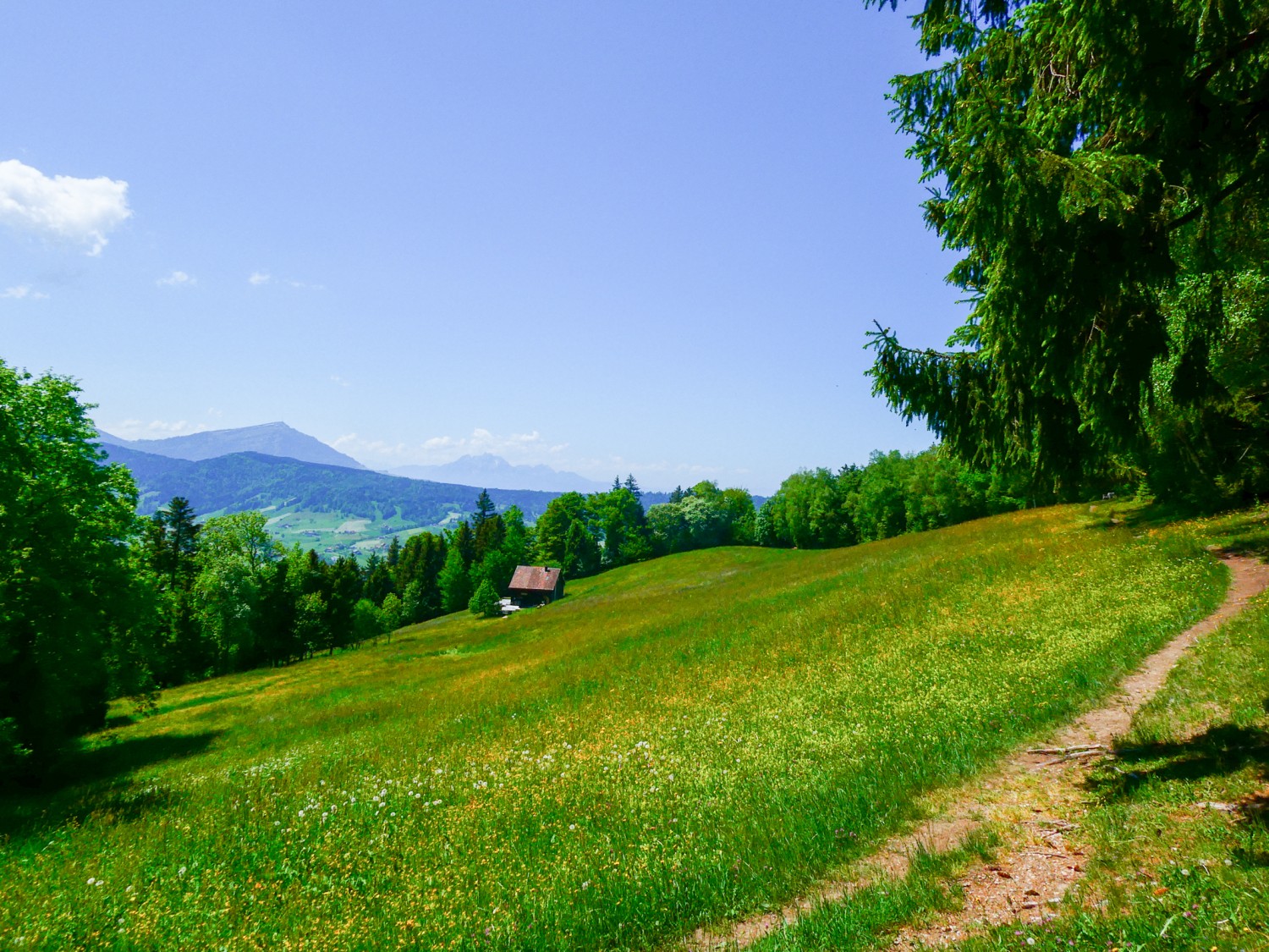 Oberhalb der Wanderhütte «Grümel» ist die Aussicht auf die Rigi und den Pilatus grandios. Bild: Rémy Kappeler