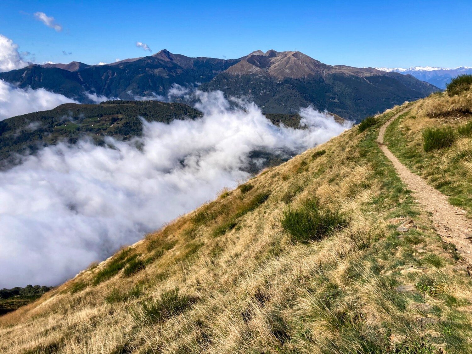 Au milieu, le Monte Tamaro et, en arrière-plan, les sommets tessinois et valaisans enneigés