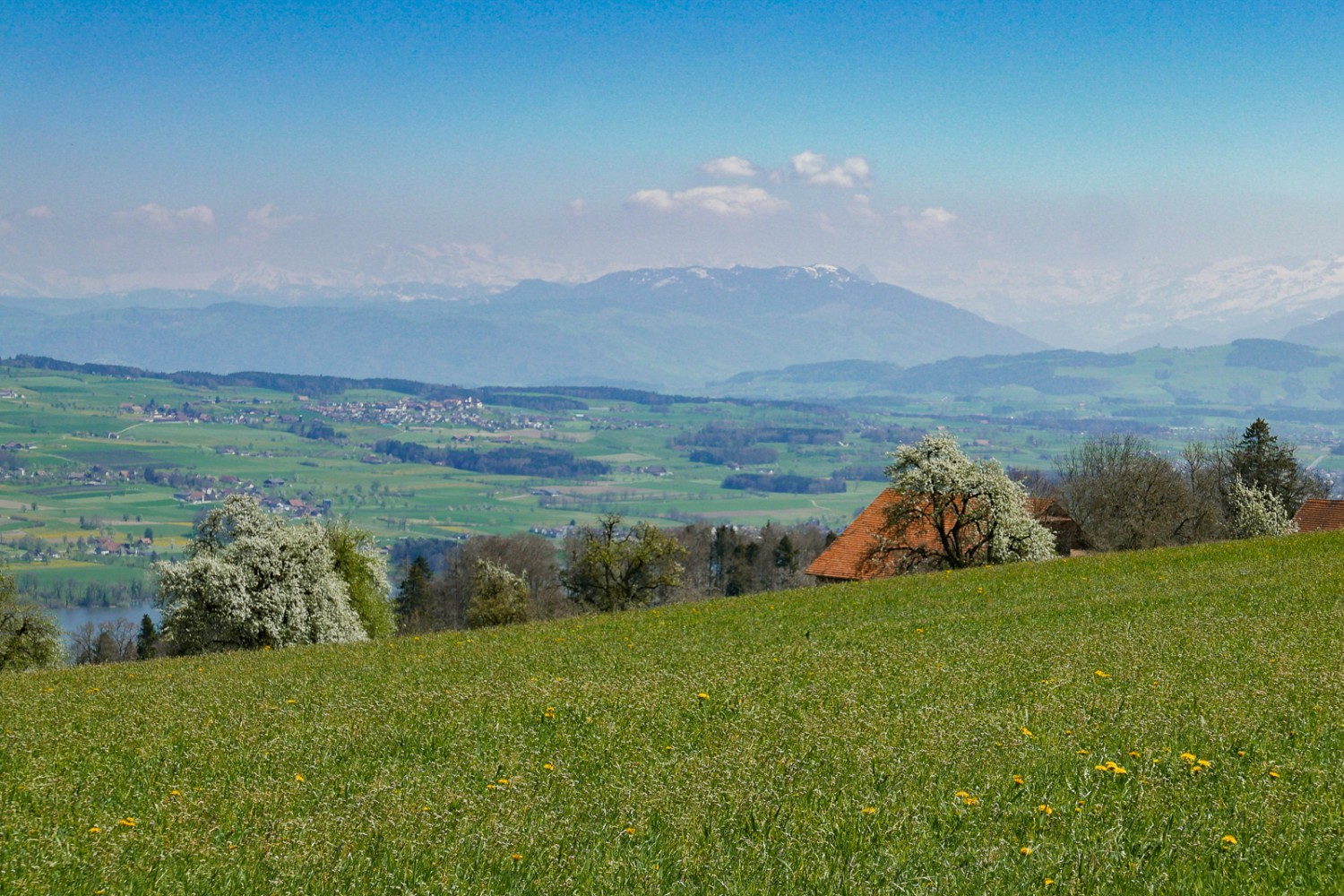 Veduta sul lago di Baldegg e sulla catena alpina dalla catena collinare delle Erlosen. Foto: Susanne Frauenfelder