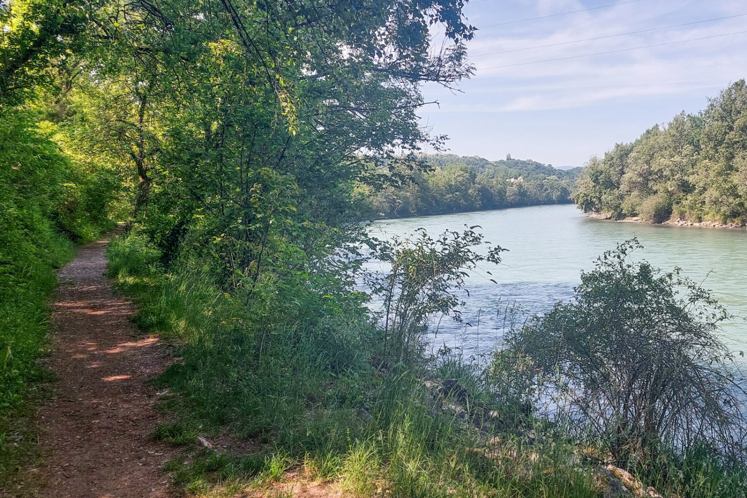 La réserve naturelle des Teppes de Verbois se situe au bord du Rhône. Photo: Tatjana Häuselmann